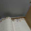 Desk Calendar 2026 with Desktop Mat, Cabbrix Large Desk Pad Calendar 22 x 17 Inch Runs From January 2026 to June 2027, Floral Design Calendar 2026 for Home School and Office (Apricot)