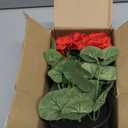 Briful Artificial Geranium Potted Plant – 16” Tall, Realistic Silk Flowers with Vibrant Green Leaves, Red Geraniums Fake Flowers for Outdoors Valentine's Day Home Décor, Farmhouse Office Tables Decor