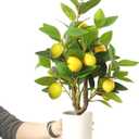 Artificial Potted Plant, 18 Indoor Fake Lemon Tree Greenery with White Pot Faux Green Plants Lemon Citrus Branches Stems for Kitchen Office Living Room Table Desk Home Decor