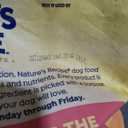 Nature's Recipe Grain Free Salmon, Sweet Potato & Pumpkin Recipe Dry Dog Food, 24 lb. Bag (24 Pound (Pack of 1)), Best By: OCT/12/2026