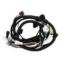 Main Electrical Wiring Wire Harness Compatible with YFM660R 2002-2004 5LP-82590-10-00