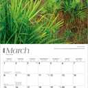 National Parks | 2026 12 x 24 Inch (Hanging) Monthly Square Wall Calendar | Plastic-Free | BrownTrout | Scenic Yosemite Yellowstone Nature