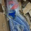 YATOINTO 8 ton Snatch Block with Hook, 6" Sheave 3/4" Inch Wire Rope Snatch Block, 17,600lbs Snatch Pulley for Rollback Wrecker Car Hauler Winch