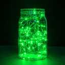 ER CHEN Dimmable LED String Lights,165Ft 500 LEDs Copper Wire Starry String Lights with Remote Control and Adapter for Seasonal Decorative Christmas Holiday, Wedding, Parties(Green)