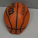 Wilson Evolution Basketballs