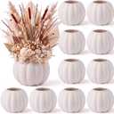 Meanplan 12 Pcs 5.5" Fall Ceramic Pumpkin Flower Vases for Centerpieces