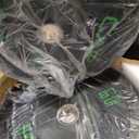 CAP Barbell Rubber Olympic Bumper Plate, 25lbs - Pair