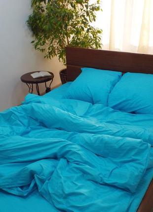 OEKO - TEX Blanket and One Pillow Case, 42 x 84 Inches