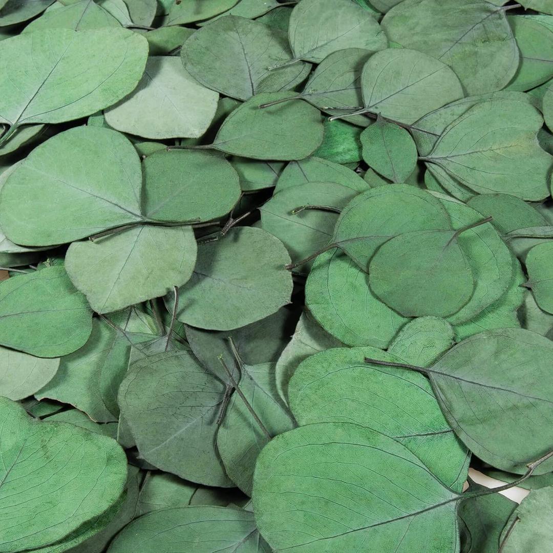 300PCS+ Real Eucalyptus Leaves for Shower - Sukh Dried Eucalyptus Leaves for Shower Fresh Shower Plant eucalipto para decoracion Preserved Flower Petals Decor Aisle Decorations Wedding Ceremony