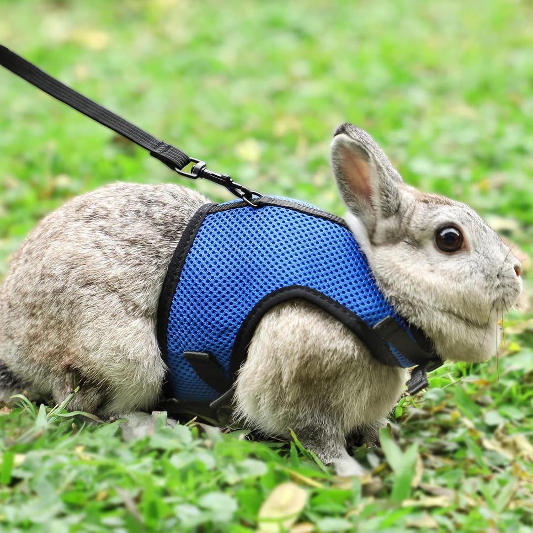 PETTOM Bunny Rabbit Harness with Stretchy Leash Cute Adjustable Buckle Breathable Mesh Vest for Kitten Small Pets Walking (Blue,L) (L(Chest:10.6-13.3 in))