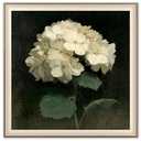 LAIART Framed canvas wall art, retro hydrangea canvas print wall decor，white flowers pictures 12x12 in