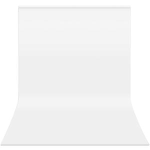HEMMOTOP White Backdrop 10x12 ft Screen for Photography, Seamless Background for Photo Video Studio (Backdrop Only)