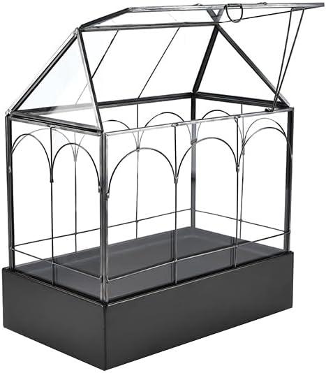 HighFree Large Glass Terrarium with Metal Tray, Glass Greenhouse Terrarium, Succulent Terrarium Kit for Succulents, Cacti, Snails, Spiders, and Miniature Reptiles, Black (Velvet Bottom)