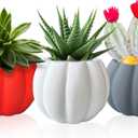 Ceramic Miniature Pumpkin Succulent Pots,Cute Halloween Decorations,Mini Pumpkin Decor Planters,Thanksgiving Decoration,Set of 3 Indoor/Outdoor Flower Pot,Fall Planter