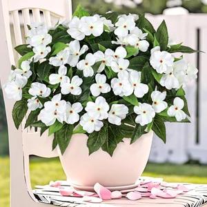 KHOYIME Artificial Flowers for Outdoors, 3PCS White Fake Impatiens Flower Bouquet Faux Silk Floral Stems Plants Bulk UV Resistant Indoor Decorations for Table Centerpieces Home Garden Wedding Decor