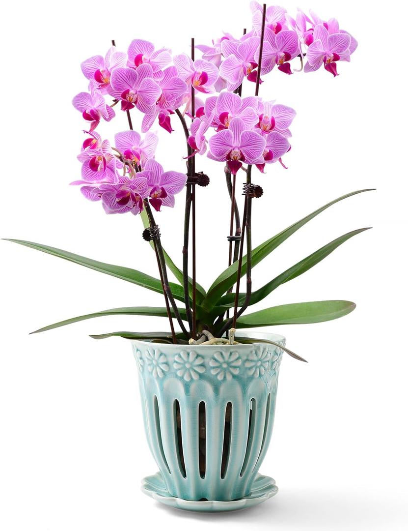 5" Ceramic Orchid Pot with Holes | Crackle Glazed Pot with Drainage and Separate Saucer | Ideal Plant Pot for Repotting Orchids and Other Flowers (Blue) (Round)