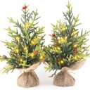 Set of 2 Mini Christmas Tree, 12 in Pre-lit Tabletop Xmas Decorations with 8 Warm LED Lights, Battery Operated with Timer, Burlap Base Artificial Pine Tree for Indoor Desk Office Dorm
