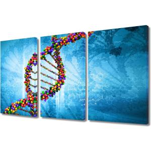 Modern Chemistry Canvas Wall Art for Doctor Living Room Office Wall Decor Spherical Spiral DNA Poster Prints for Medical Researchers Studio Wall Artwork Printng Stretched Ready to Hang 36x24 in