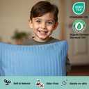 ZPECC Toddler Pillow with Pillowcase - 13x18 Organic Cotton Hypoallergenic Kids Pillow, Baby Essentials for Travel Crib Daycare Stroller (Intended for Age 2 and up) Blue Stripe