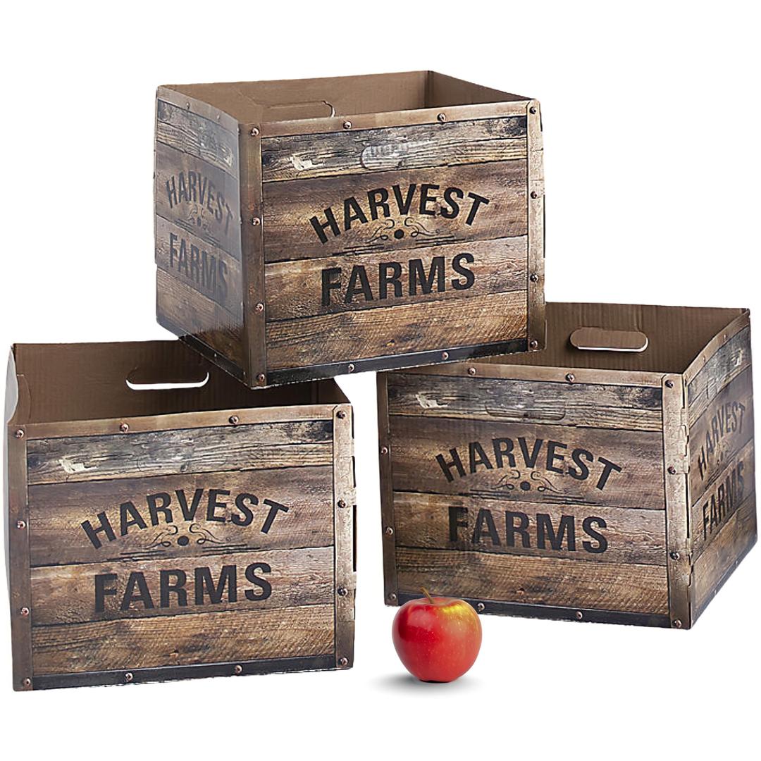 Fun Express 3D Apple Orchard Boxes Decoration, 3 Pieces