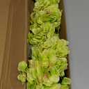 Kimura's Cabin 6pcs Silk Hydrangea Artificial Flowers Fake Hydrangeas Flower with Stems Faux Hydrangea Bouquets for Wedding Party Arrangements Home Table Centerpieces Decoration (Lime Green)