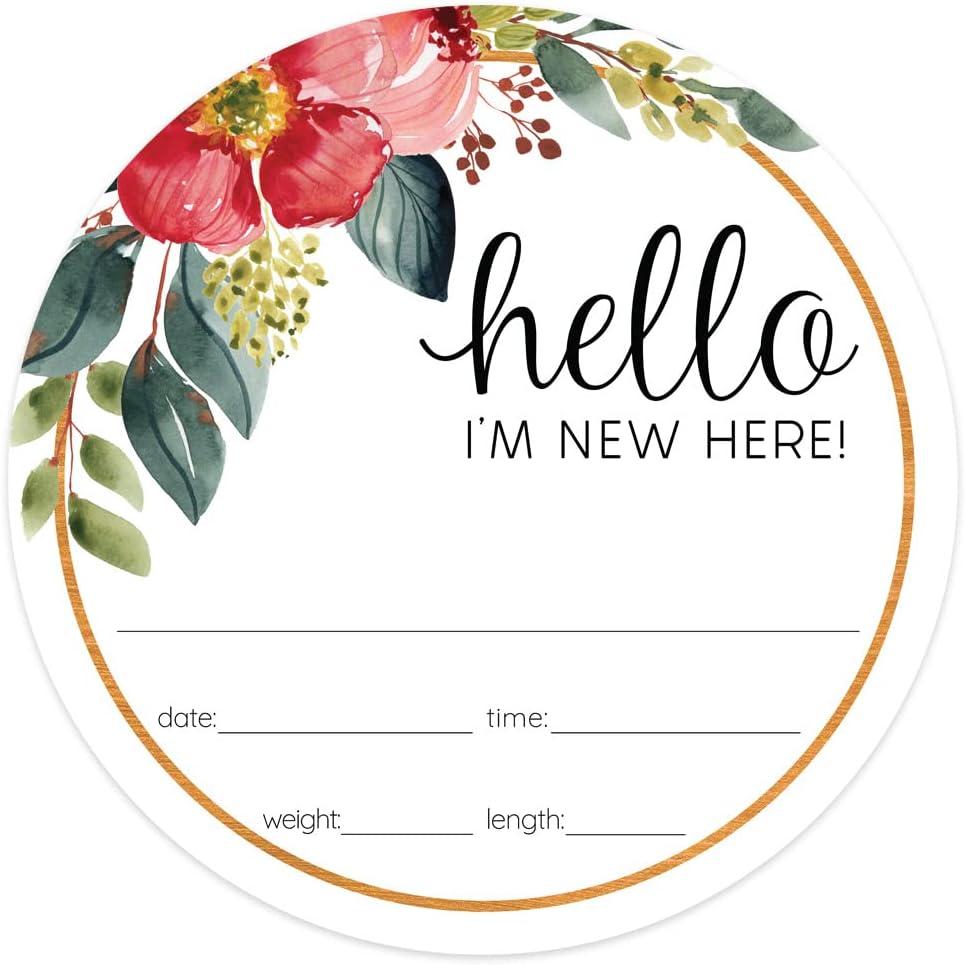 Hello I'm New Here Bright Floral Newborn Sign / 10" Round Dry Erase Fill in Infant Baby Hospital Round Photography Sign/Botanical Birth Announcement Circle Photo Prop