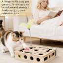 Cat Toys for Indoor Cats - Interactive Box Puzzle Toy Nail File Scratcher Hunting Play Toy with 3 Jingle Balls & 1 Feather Wand, Wooden Puzzle Treat Toy Box Energize Cat Instincts for Bored Cats