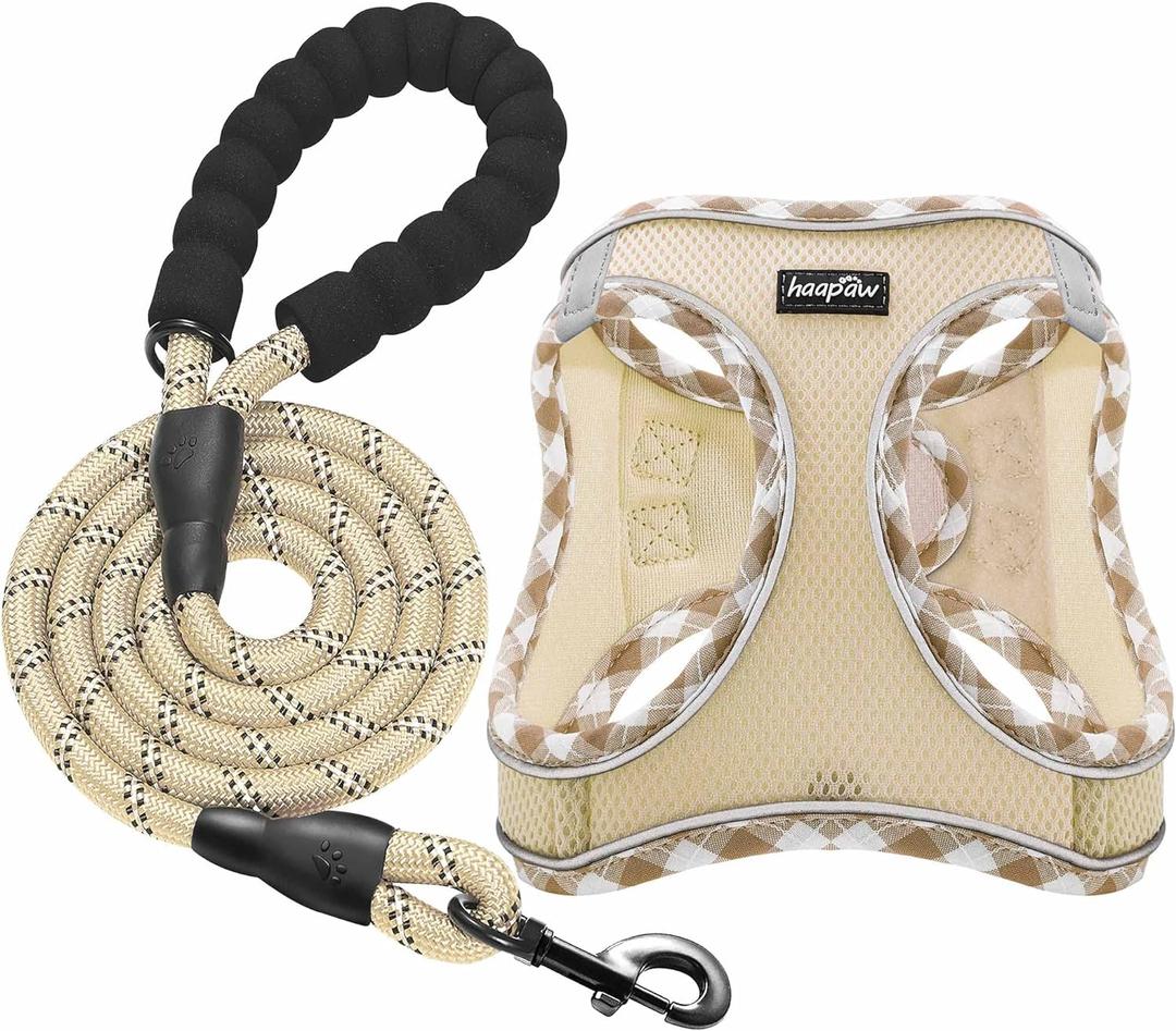 Haapaw Dog Harness with Leash Set, No Pull Adjustable Reflective Step-in Puppy Harness with Thickened Padded Vest for Extra-Small/Small Medium Dogs (Beige)