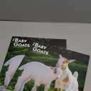 Baby Goats | 2026 12 x 24 Inch (Hanging) Monthly Square Wall Calendar | Plastic-Free | BrownTrout | Domestic Animals