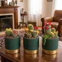 3-Pcs 4 Inch Cement Planters Set - Vintage Ribbed Flower Pots with Gold Rim and Drainage Holes, Modern Ceramic Succulent Pots, Small Plant Containers for Home, Office, Desk Decor, Green