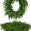Real Touch Norfolk Pine Christmas Wreath 24IN Soft, Lifelike Artificial Pine Wreath for Indoor & Outdoor Holiday Decoration, Durable and Reusable for Front Door, Wall, and Fireplace, Green