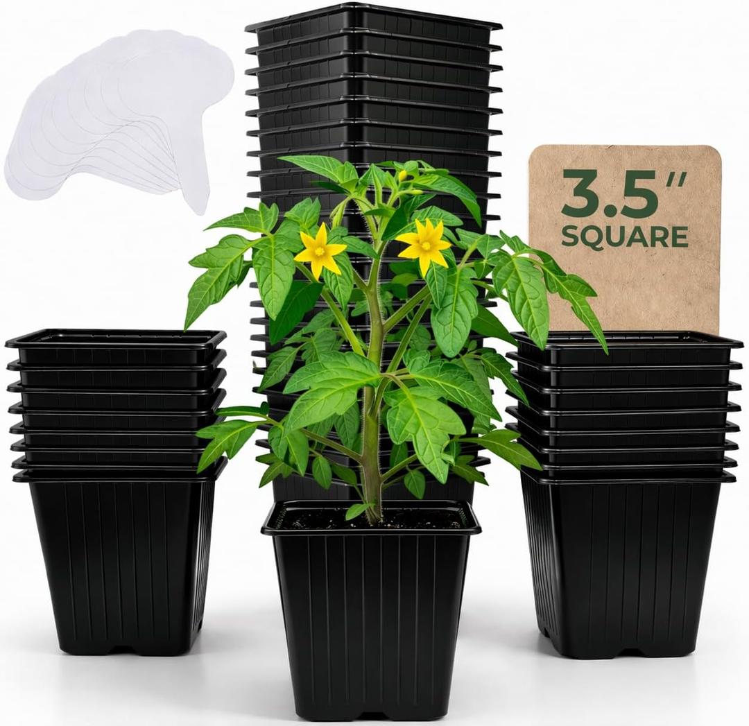 CARPATHEN 60Pack Square Nursery Pots - 3.5 Inch Seedling Plant Pot with Drainage Holes - 1020 Tray Optimized - Reusable Sturdy Seed Starter Pots for Flowers, Vegetables, Greens