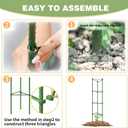 6 Pack Tomato Cage for Garden, 48 Inches Metal Garden Stakes, Plant Support Cages Trellis for Garden and Pots, Tomato Trellis for Potted Plants, Trellis for Climbing Plants Outdoor,Green