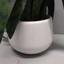 Ollain Artificial Plant 23.6" Fake Snake Plant Faux Plants Green Fake Succulent Potted for Bathroom Shelf Decor Desk Plant Home Office Decor (White)