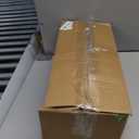 Rowfad 24 Pcs Artificial Norfolk Pine Branches, Faux Norfolk Pine Stems DIY Crafts Faux Christmas Norfolk Pine Branches for Xmas Indoor Outdoor Home Decor (24)