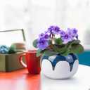 African Violet Pots, 6 Inch Self Watering Pots for Indoor Plants, Easy Plant Self Watering Planter, Ceramic Plant Pot with Absorbent Inner Pot for Flowers - Gradient Blue (No Plants)