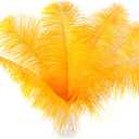 Soarer Gold Ostrich Feathers for Crafts - 15 pcs 12-14inch Feathers for Festival Party Table Centerpieces,Floral Arrangements and Home Decoration.(Gold)