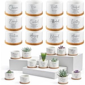 Fumete 36 Set Religious Gift Bulk Bible Verse Succulent Pots, Mixed Style, 8 x 5.5 cm / 3.15 x 2.17 inches