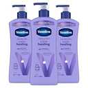 Vaseline Intensive Care Nourishing Moisture Body Lotion 3 Pk Made with Ultra-Hydrating Lipids + Pure Oat Extract for Dry Skin, for Nourished, Healthy-Looking Skin 20.3 oz