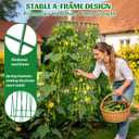 2 Pack Cucumber Trellis, 60inch A-Frame Rustproof Steel Wire Garden Trellis for Raised Beds, Heavy Duty Climbing Plants Supports for Cucumber,Tomato, Climbing Plants and Flowers