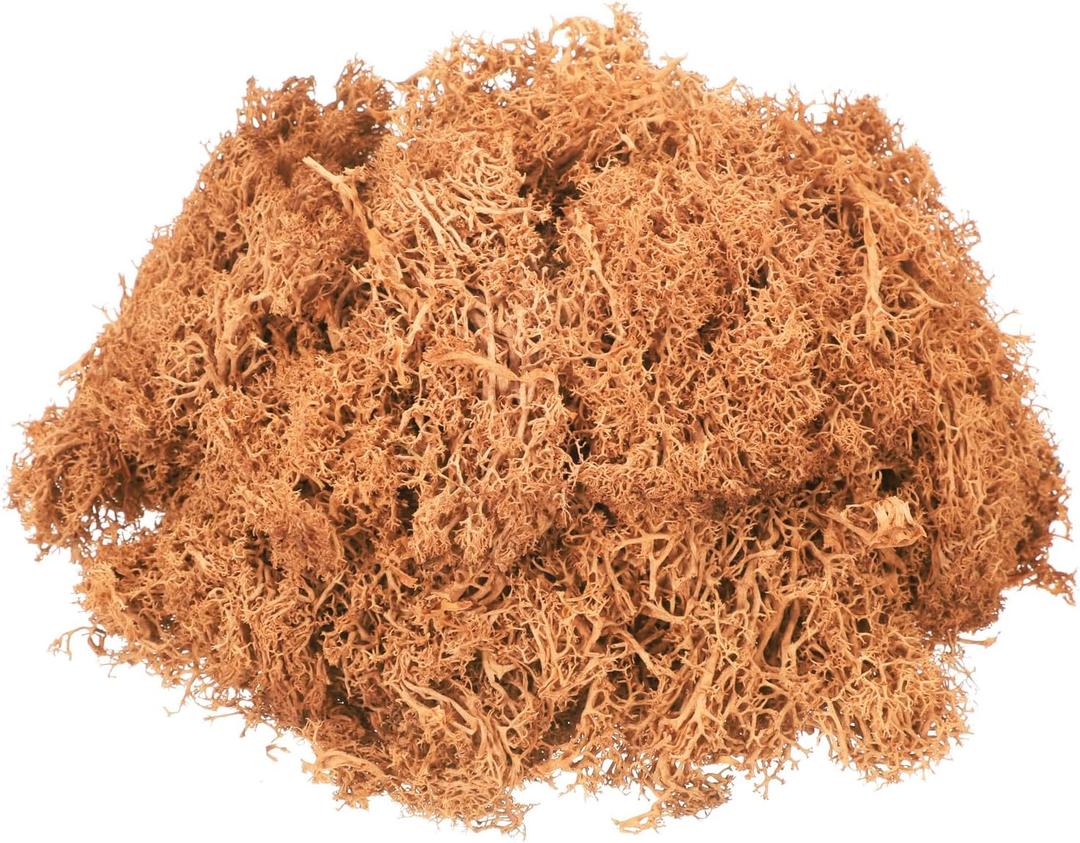 MECCANIXITY 3oz Preserved Reindeer Moss, Orange Decorative Artificial Fake Moss for Potted Plants Indoor Crafts Lichen Centerpieces Decor