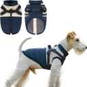 Dog Winter Coat for Small & Medium Dogs (Up to 31lb), Waterproof Dog Coat with Harness, Puppies Windproof Puppy Puffer Jacket, Snowsuit for Dachshund,Frenchie, Corgi (Classic Blue, Large) (Large(14-19lb))