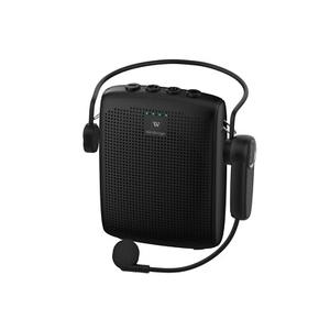 WB002 Voice Amplifier