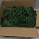 Norfolk Pine Garland Christmas Decoration - 9ft Realistic Pine Needles Artificial Greenery Garland for Holiday Mantel Fireplace Stairs Railing Table Home Decor