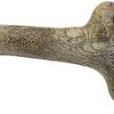 Pet Supplies : Pet Qwerks Dinosaur BarkBone - Wood Dog Bone for Moderate Chewers - Peanut Butter Flavor - 8.5", Small Breeds : Amazon.com
