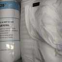 downluxe Goose Feather and Down Pillows - Hotel Collection Feather Pillows Set of 2 for Back, Stomach or Side Sleepers, Queen Size (20"x28") (Classic Horizontal Stripes)