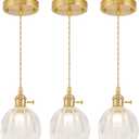 Mini Pendant Lights Kitchen island 3 Pack, Small Adjustable Pendant Light Fixture with Transparent Tulip Glass Lampshade, Vintage Gold Pendant Lighting, Pendant Light for Bedroom Dining Room Hallway