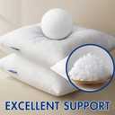 MIULEE Pillow Insert 12x24 Inch, Decorative Rectangle Throw Pillow Inserts, Premium Fluffy Pillow Forms Sham Stuffer for Sofa Couch Living Room