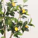 6FT Artificial Lemon Tree with Pot, Fake Lemon Tree with White Tall Planter, Faux Lemon Plant with Realistic Fruits and Silk Leaves, Artificial Plants Indoor for Home Office Kitchen Decor