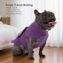 2 x cyeollo Dog Fleece Sweater Turtleneck Coat with Adjustable Strap, Purple S